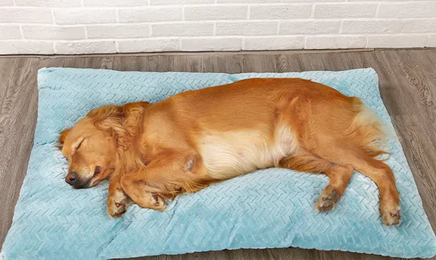 Plush Pet Bed